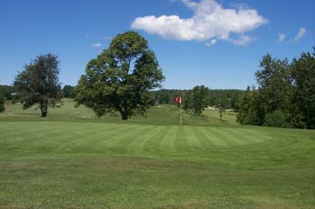 Golf Course Green One