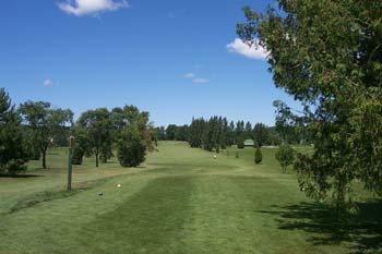 Brookwood Brae Golf Course - Green 8