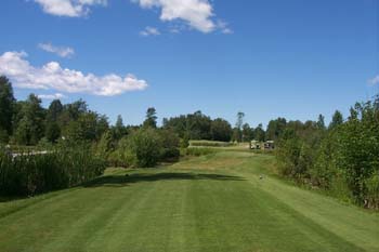Brookwood Brae Golf Course - Green 8